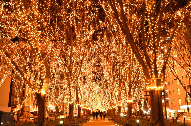 失敗してしまったクリスマスデートの思い出 ぐるなび みんなのごはん